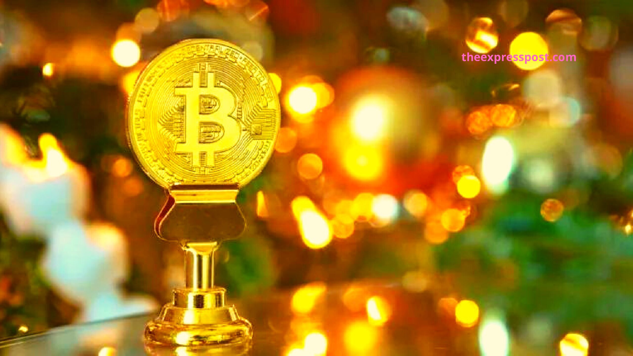 Cryptocurrency Prices Today: Bitcoin touches record high above Rs 50 lakh