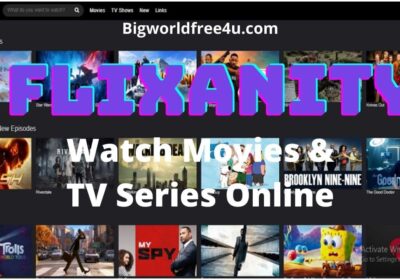 Flixanity – Watch Movies And TV Shows Online [Updated 2021]