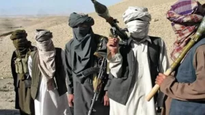 Senior Pakistani Taliban leader killed in Afghanistan: Official