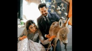 Pakistani groom gifts his bride a donkey, the reason will melt your heart