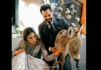 Pakistani groom gifts his bride a donkey, the reason will melt your heart