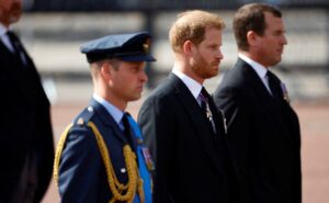 Prince Harry Claims William Screamed, Shouted At Him