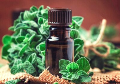 Health Benefits of Oil of Oregano: A Comprehensive Review