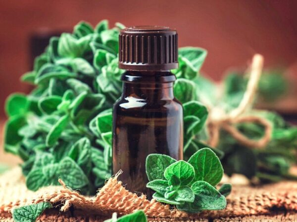 wellhealthorganic.com:health-benefits-and-side-effects-of-oil-of-oregano