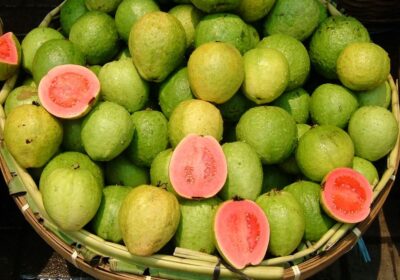 Boost Your Immune System: The Incredible Health Benefits of Guava”